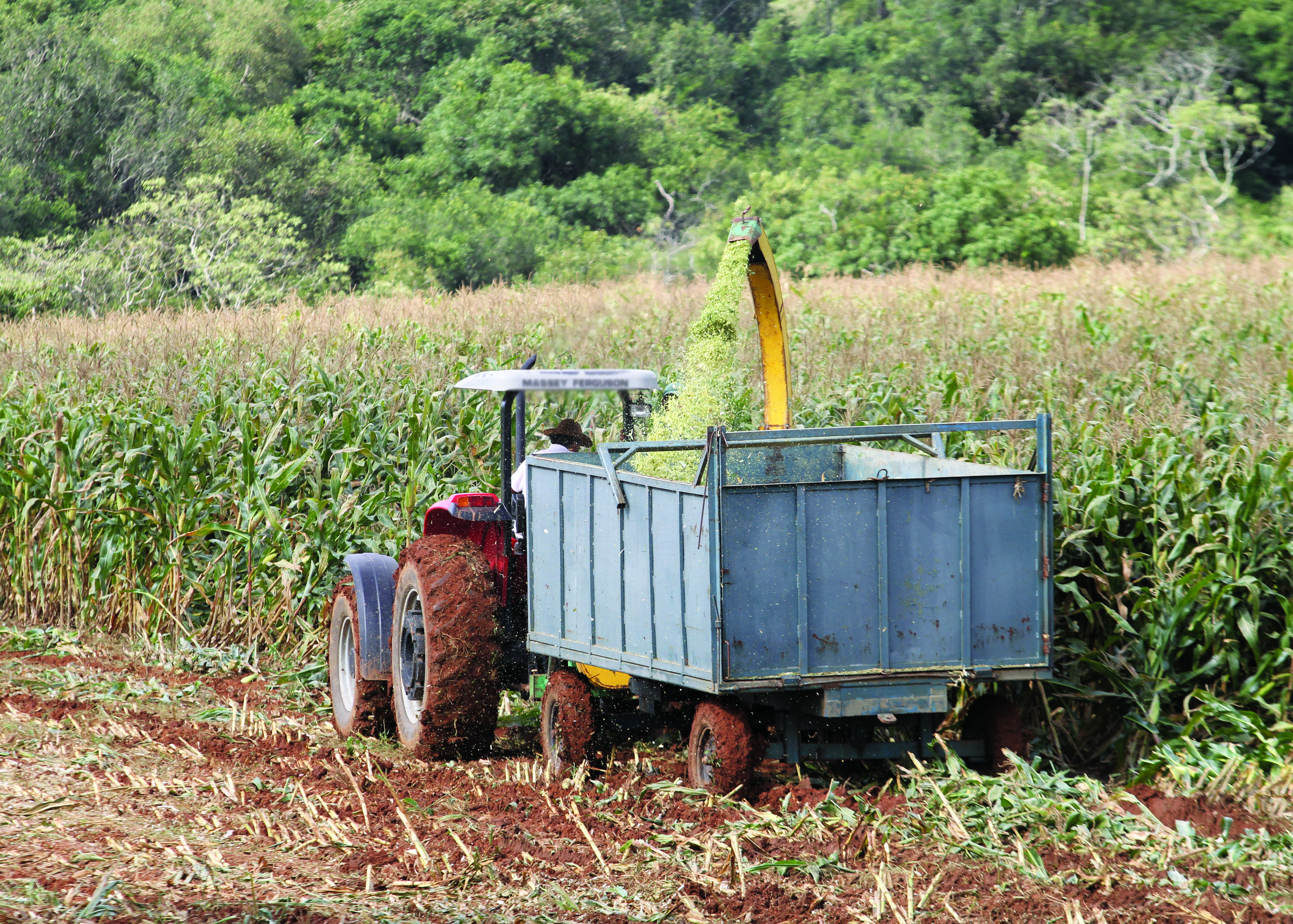 Mais de 480 produtores rurais da região contrataram financiamentos que somaram mais de R$ 620 milhões. Foto - Arquivo