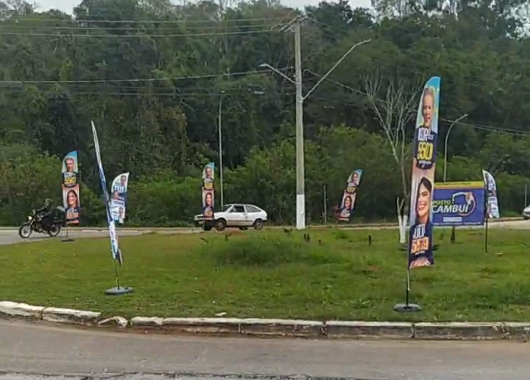 A juíza eleitoral entendeu que a forma como a propaganda estava sendo utilizada aumentava o risco de acidentes de trânsito. Foto - Reprodução/Internet