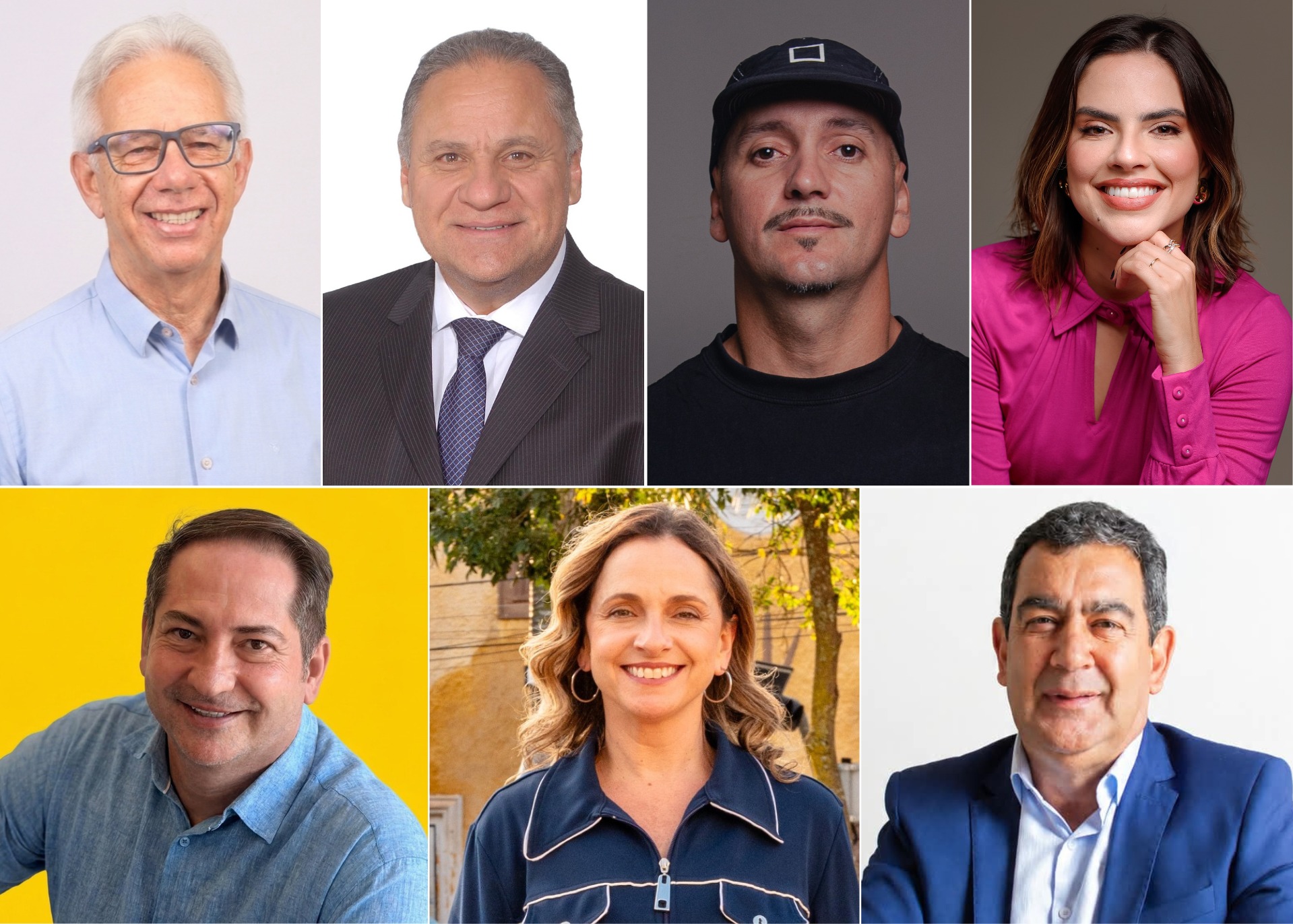 Da esquerda para a direita, de cima para baixo: Edson Giriboni, Fábio Coelho, Garcia Rodrigues, Júlia Nunes, Marcelo Nanini, Paula Granato e Silvio Leme. Foto - Arquivo 