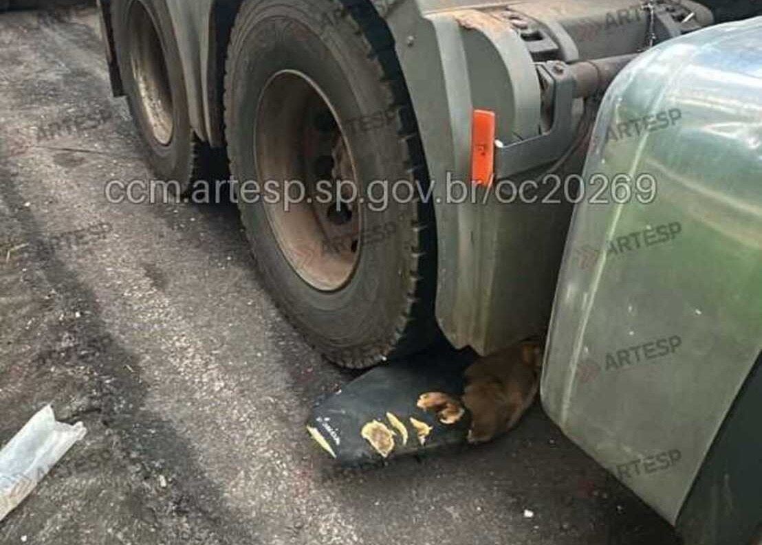 A colisão aconteceu por volta das 6h30, no km 183 da pista simples. Foto - Reprodução/Artesp