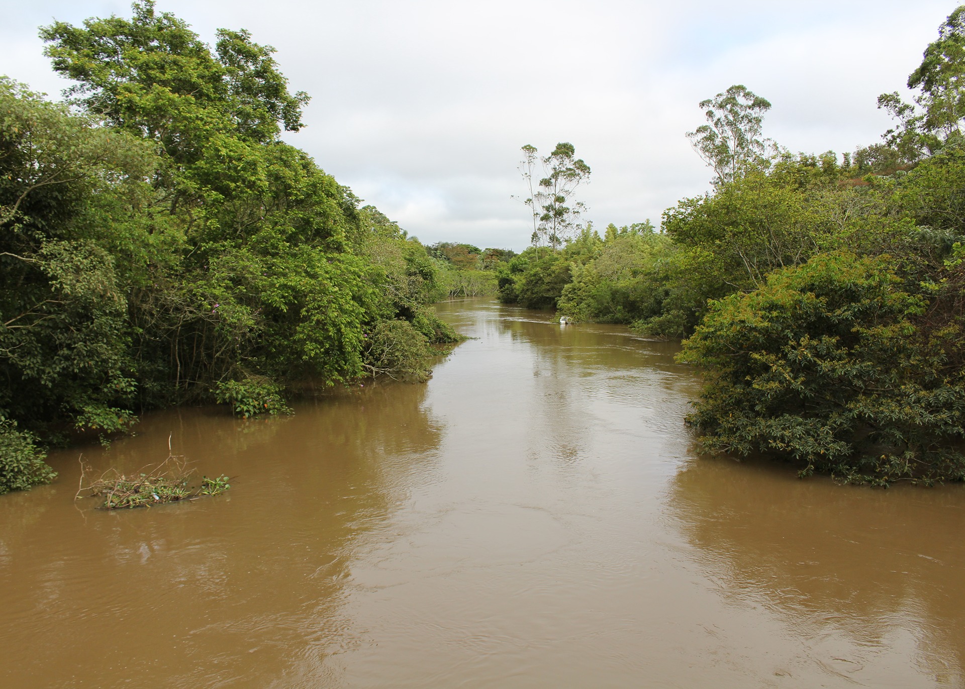 No ponto dos Tropeiros, utilizado para a medição oficial da Defesa Civil, o rio atingiu 5,62 metros. Foto - Vitória Mendes